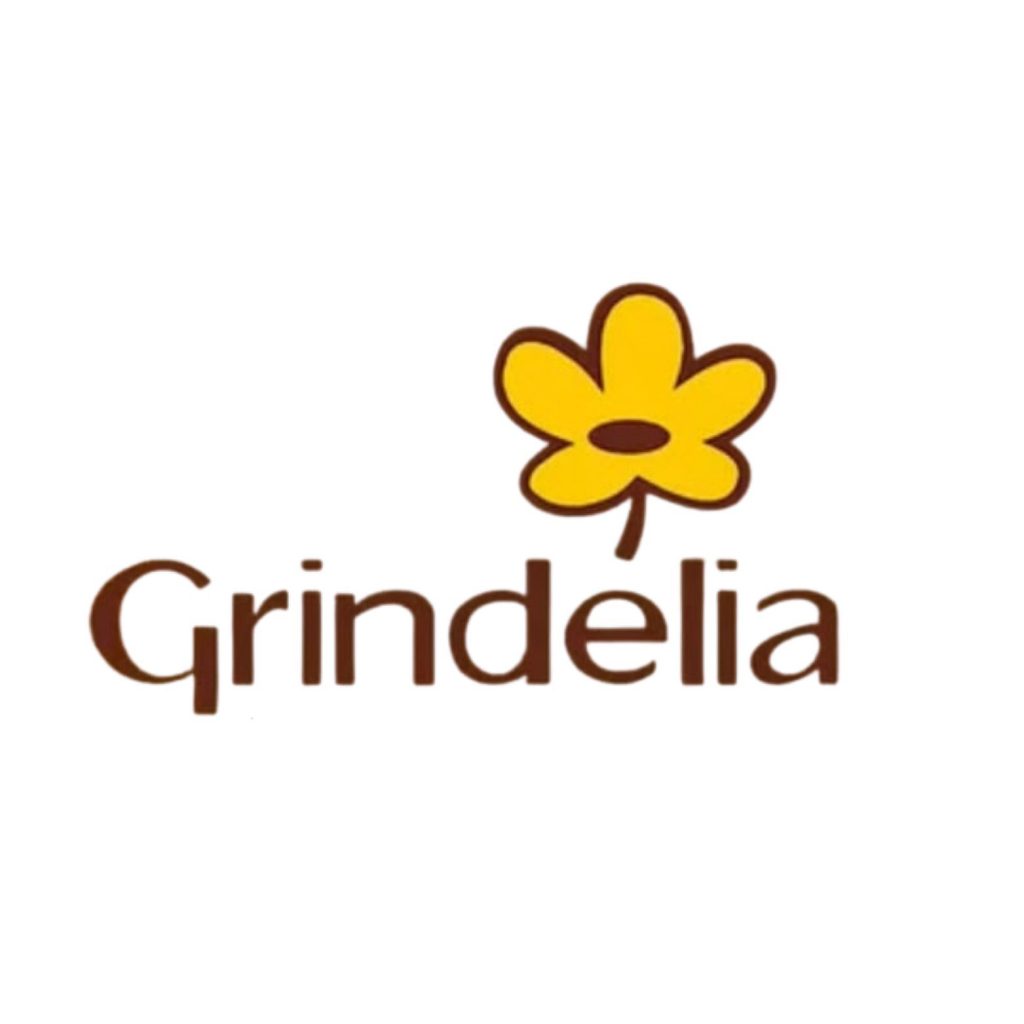 Grindélia – Parceria que nos permitiu começar